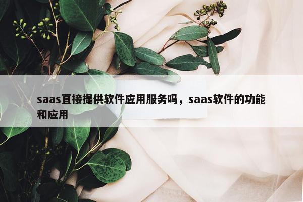 saas直接提供软件应用服务吗，saas软件的功能和应用