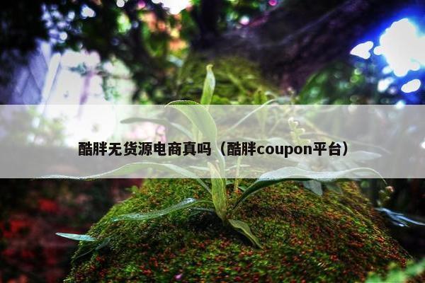 酷胖无货源电商真吗（酷胖coupon平台）
