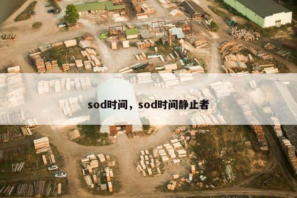 sod时间，sod时间静止者