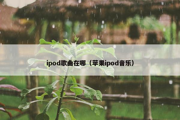 ipod歌曲在哪（苹果ipod音乐）