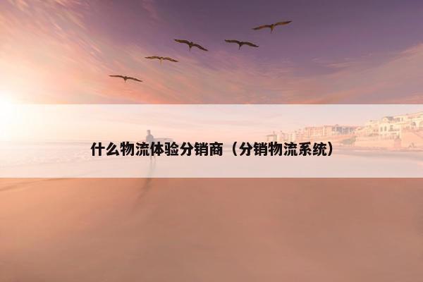 什么物流体验分销商（分销物流系统）