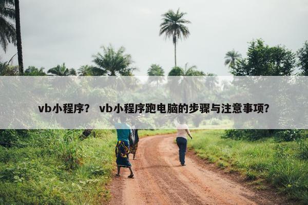 vb小程序？ vb小程序跑电脑的步骤与注意事项？