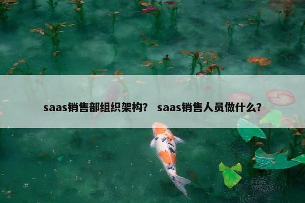 saas销售部组织架构？ saas销售人员做什么？
