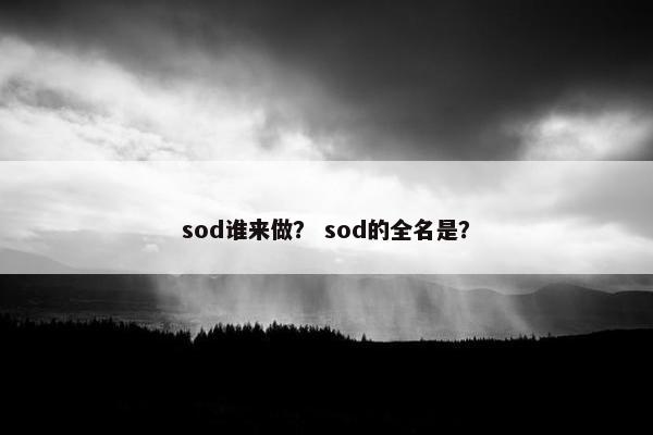 sod谁来做？ sod的全名是？