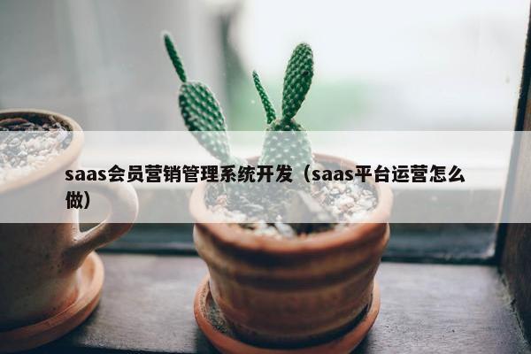 saas会员营销管理系统开发（saas平台运营怎么做）