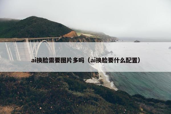 ai换脸需要图片多吗（ai换脸要什么配置）