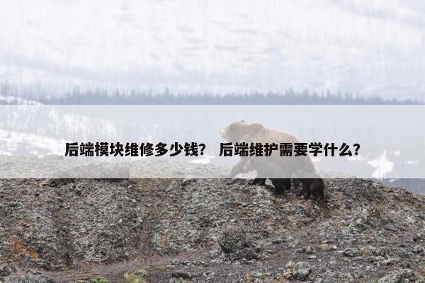后端模块维修多少钱？ 后端维护需要学什么？