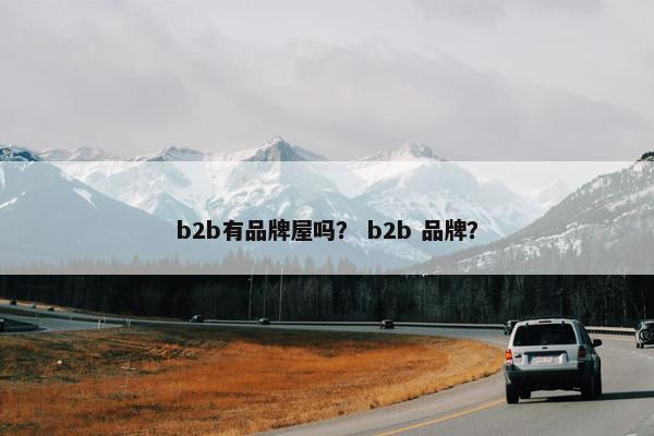 b2b有品牌屋吗？ b2b 品牌？