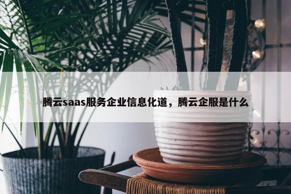 腾云saas服务企业信息化道，腾云企服是什么