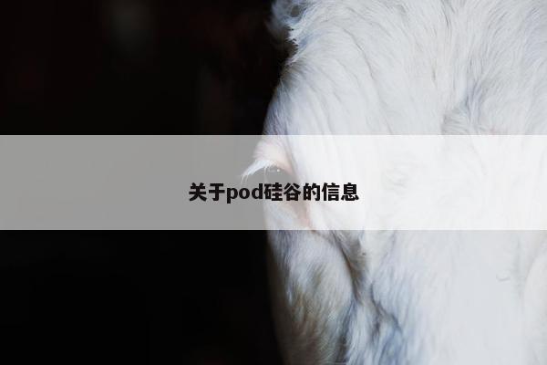 关于pod硅谷的信息