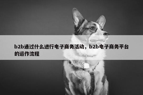 b2b通过什么进行电子商务活动，b2b电子商务平台的运作流程