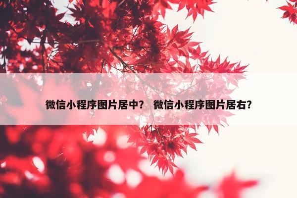 微信小程序图片居中？ 微信小程序图片居右？
