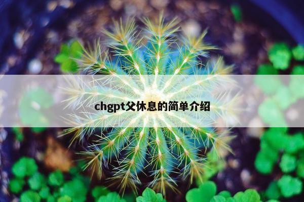 chgpt父休息的简单介绍