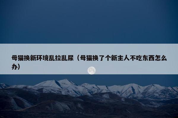 母猫换新环境乱拉乱尿（母猫换了个新主人不吃东西怎么办）