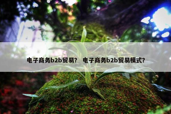 电子商务b2b贸易？ 电子商务b2b贸易模式？
