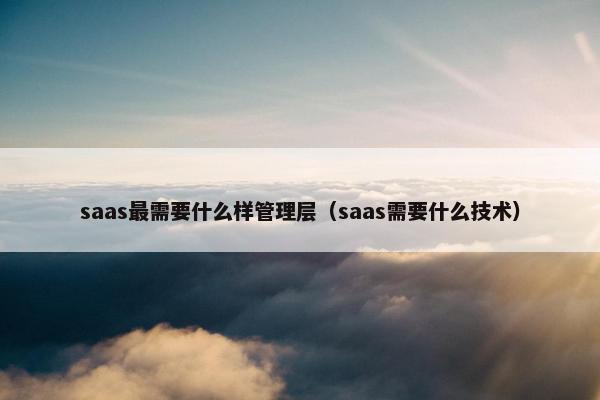 saas最需要什么样管理层（saas需要什么技术）