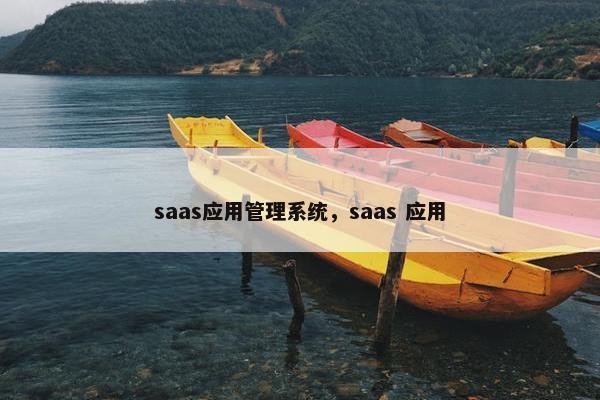 saas应用管理系统，saas 应用