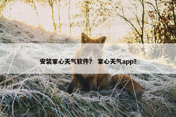 安装掌心天气软件？ 掌心天气app？