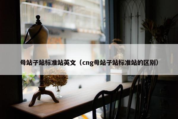 母站子站标准站英文（cng母站子站标准站的区别）