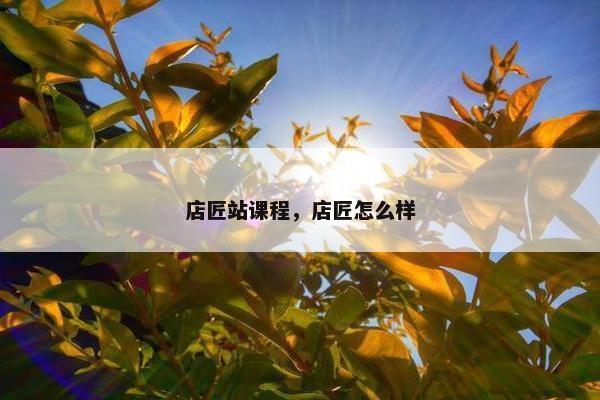 店匠站课程，店匠怎么样