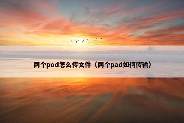 两个pod怎么传文件（两个pad如何传输）
