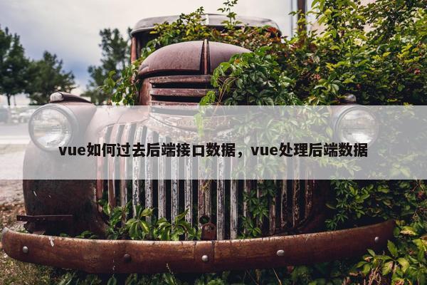 vue如何过去后端接口数据，vue处理后端数据
