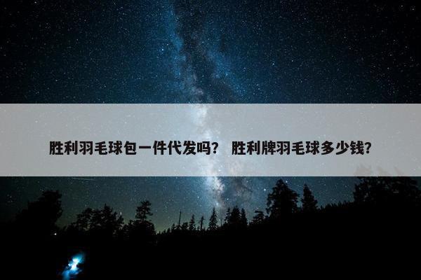 胜利羽毛球包一件代发吗？ 胜利牌羽毛球多少钱？