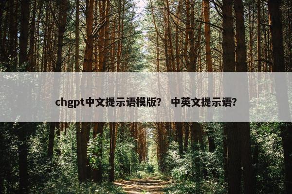 chgpt中文提示语模版？ 中英文提示语？