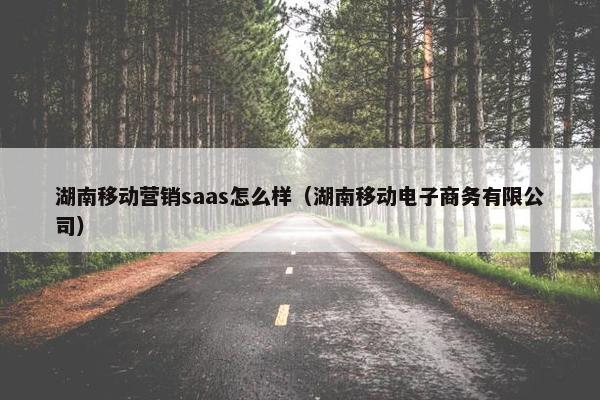 湖南移动营销saas怎么样（湖南移动电子商务有限公司）