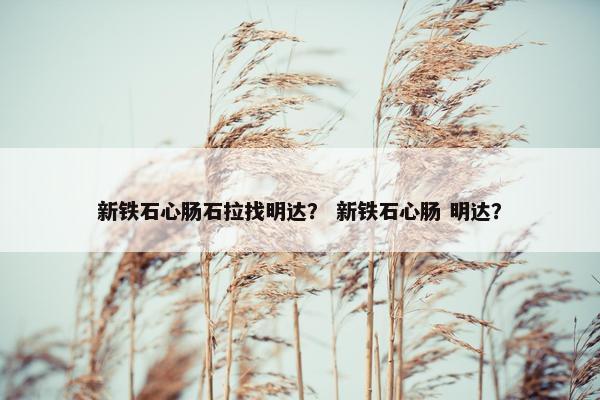 新铁石心肠石拉找明达？ 新铁石心肠 明达？