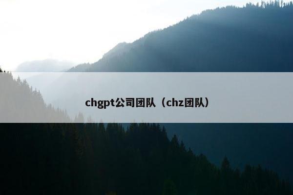 chgpt公司团队（chz团队）