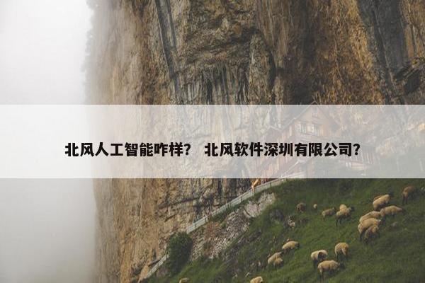 北风人工智能咋样？ 北风软件深圳有限公司？