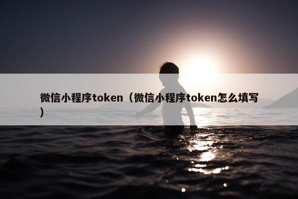 微信小程序token（微信小程序token怎么填写）