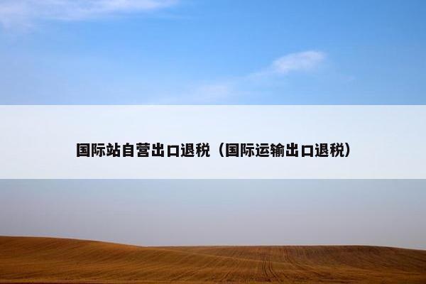 国际站自营出口退税（国际运输出口退税）