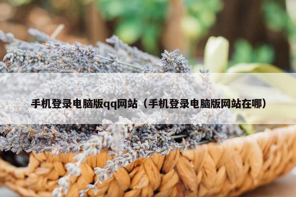 手机登录电脑版qq网站（手机登录电脑版网站在哪）