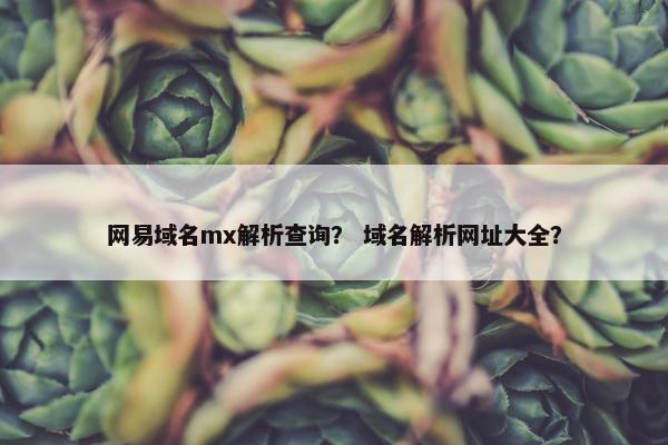 网易域名mx解析查询？ 域名解析网址大全？