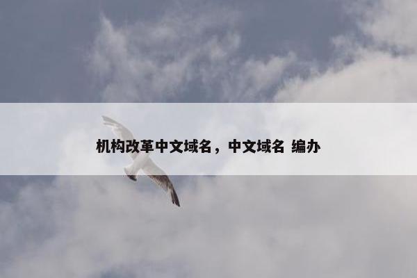 机构改革中文域名，中文域名 编办