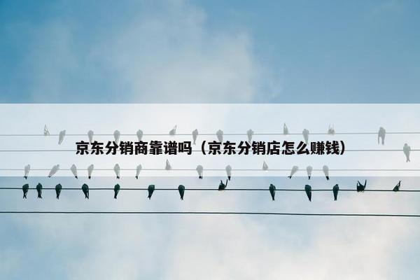 京东分销商靠谱吗（京东分销店怎么赚钱）