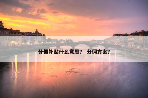 分佣补贴什么意思？ 分佣方案？