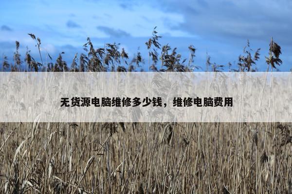 无货源电脑维修多少钱，维修电脑费用