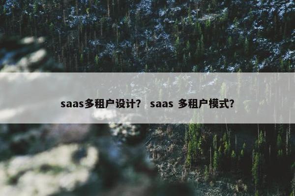 saas多租户设计？ saas 多租户模式？