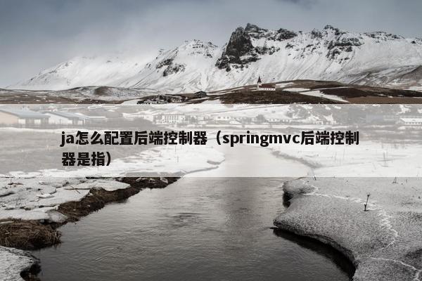 ja怎么配置后端控制器（springmvc后端控制器是指）