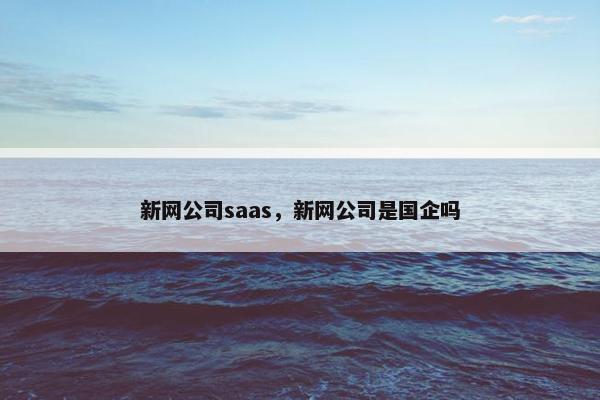 新网公司saas，新网公司是国企吗