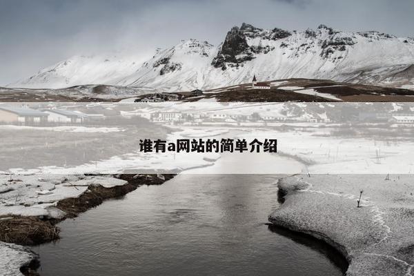 谁有a网站的简单介绍