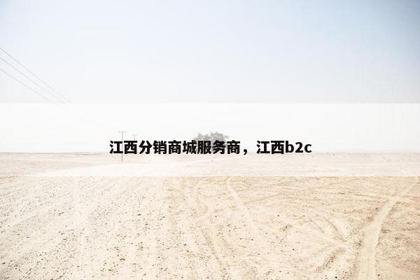 江西分销商城服务商，江西b2c