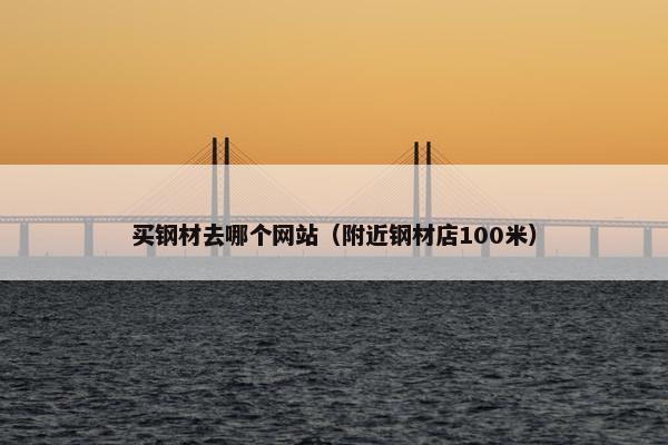 买钢材去哪个网站（附近钢材店100米）