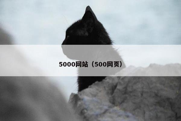 5000网站（500网页）