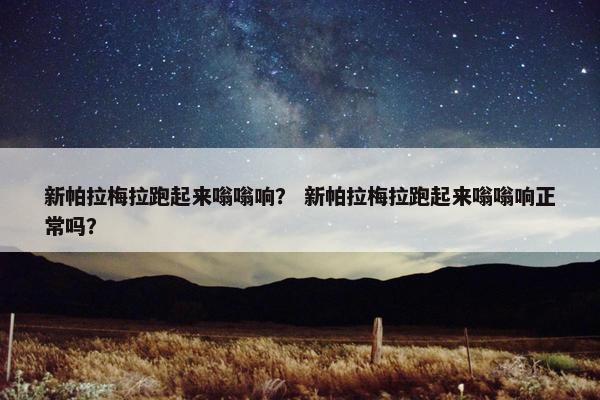 新帕拉梅拉跑起来嗡嗡响？ 新帕拉梅拉跑起来嗡嗡响正常吗？