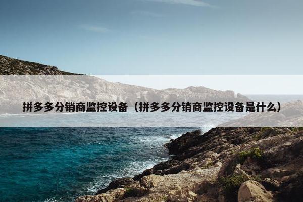 拼多多分销商监控设备（拼多多分销商监控设备是什么）