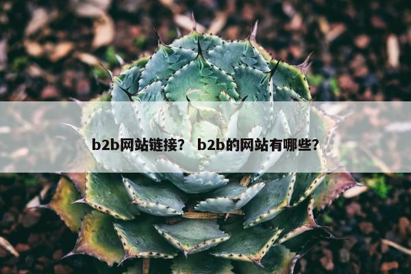 b2b网站链接？ b2b的网站有哪些？